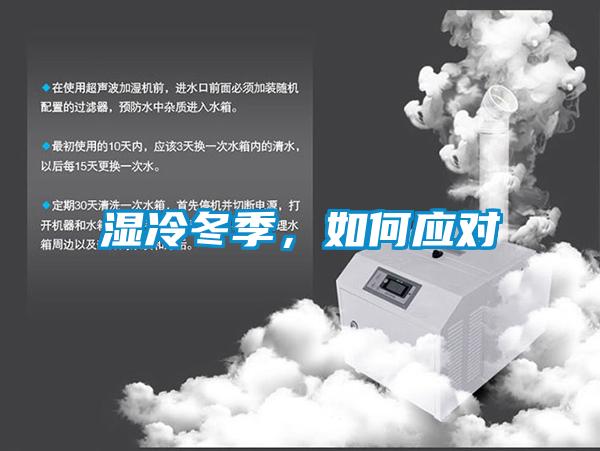 濕冷冬季，如何應對