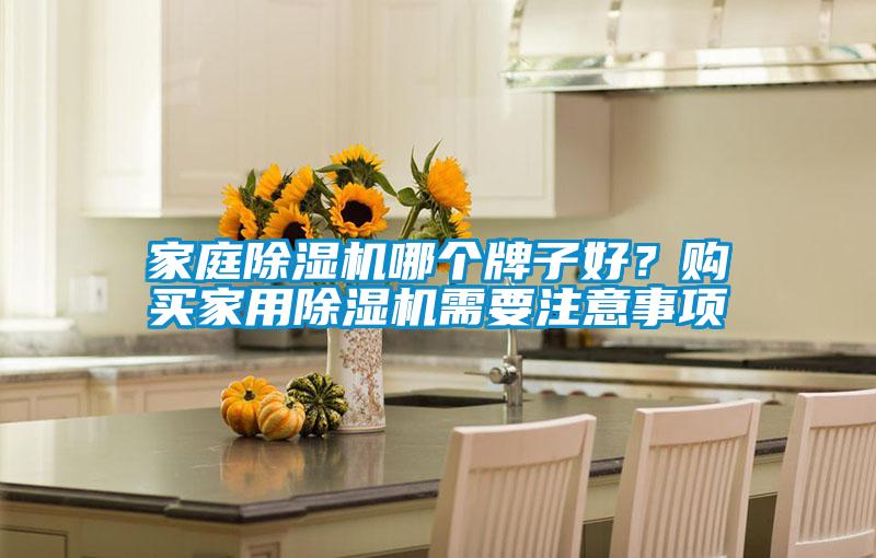 家庭除濕機哪個牌子好？購買家用除濕機需要注意事項