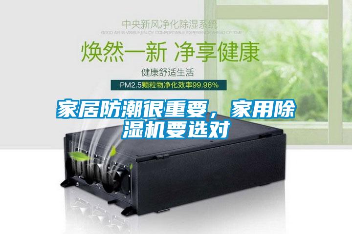 家居防潮很重要，家用除濕機要選對
