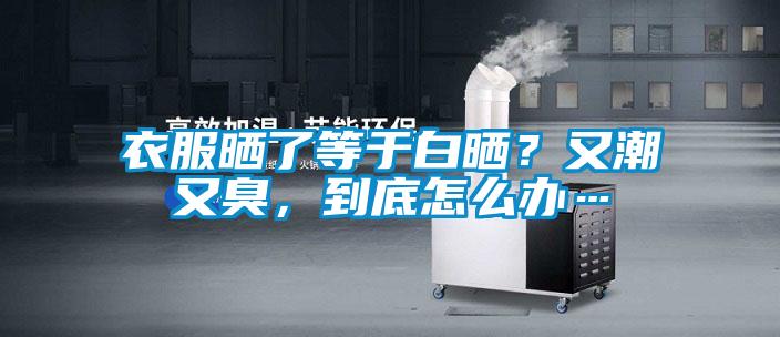衣服曬了等于白曬？又潮又臭，到底怎么辦…
