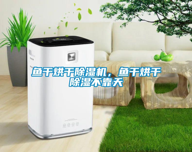 魚干烘干除濕機，魚干烘干除濕不靠天