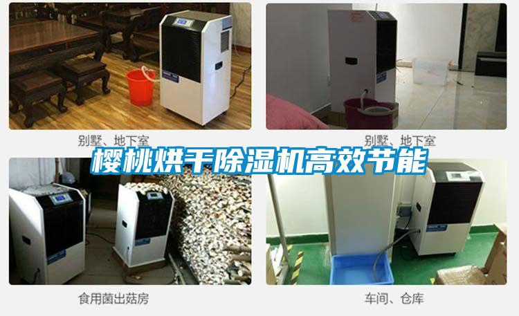 櫻桃烘干除濕機高效節能
