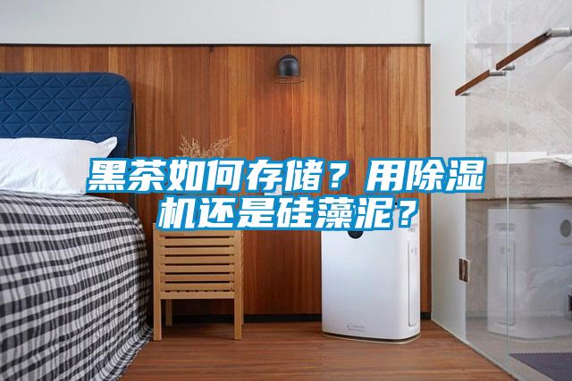 黑茶如何存儲(chǔ)？用除濕機(jī)還是硅藻泥？