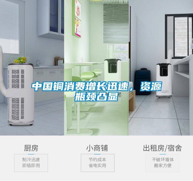 中國銅消費增長迅速，資源瓶頸凸顯