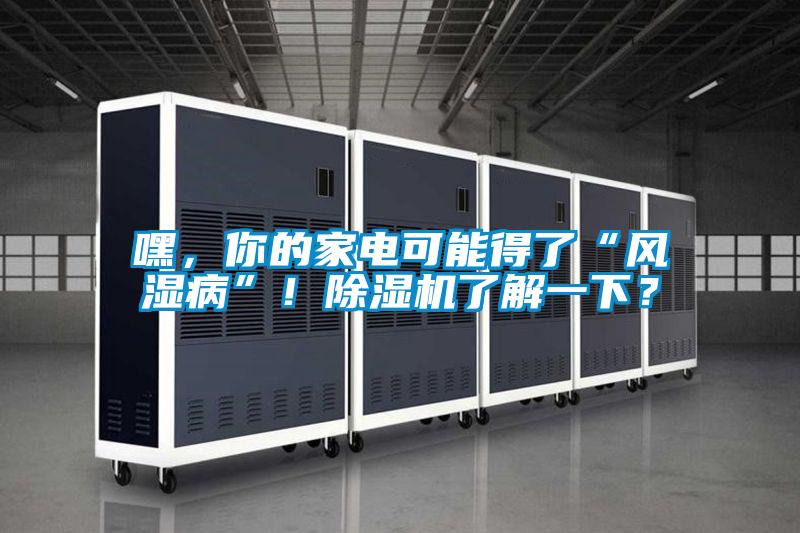 嘿，你的家電可能得了“風濕病”！除濕機了解一下？