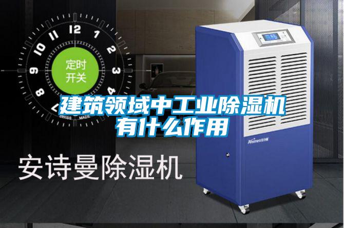 建筑領域中工業除濕機有什么作用