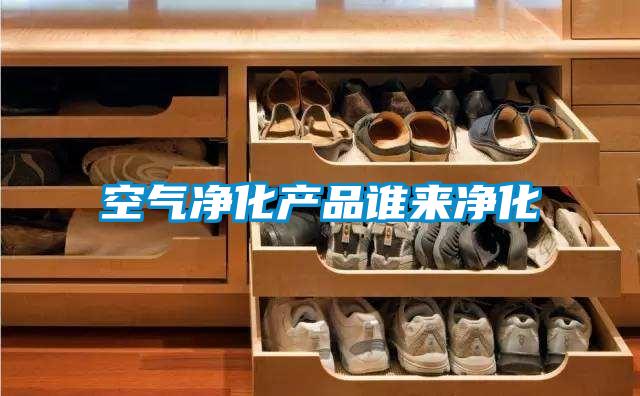 空氣凈化產(chǎn)品誰(shuí)來(lái)凈化