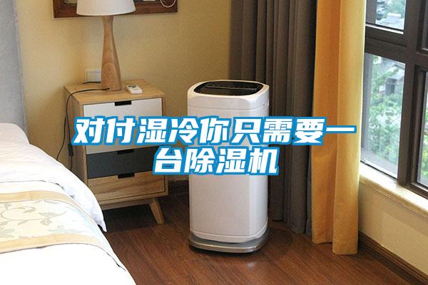 對付濕冷你只需要一臺除濕機