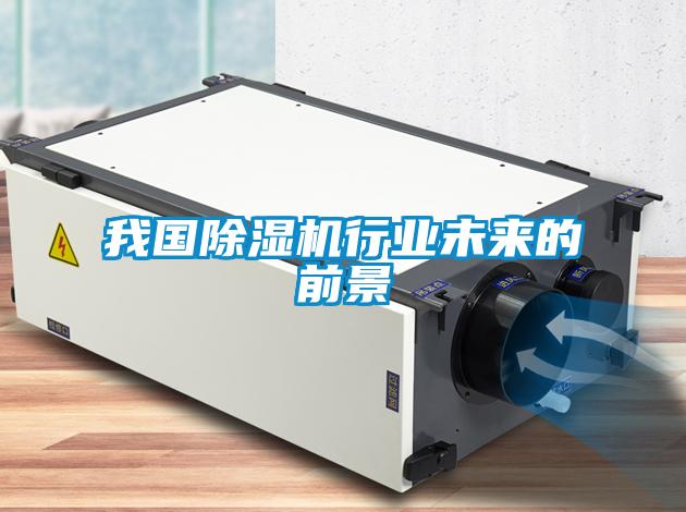 我國除濕機行業未來的前景