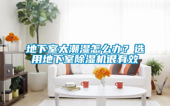 地下室太潮濕怎么辦？選用地下室除濕機(jī)很有效