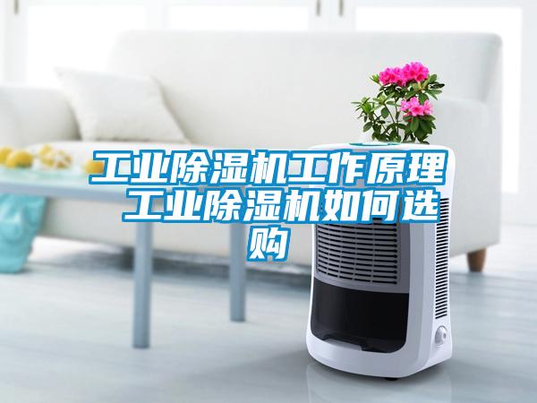 工業(yè)除濕機(jī)工作原理 工業(yè)除濕機(jī)如何選購