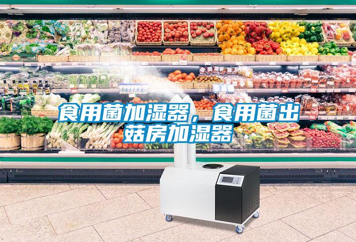 食用菌加濕器，食用菌出菇房加濕器