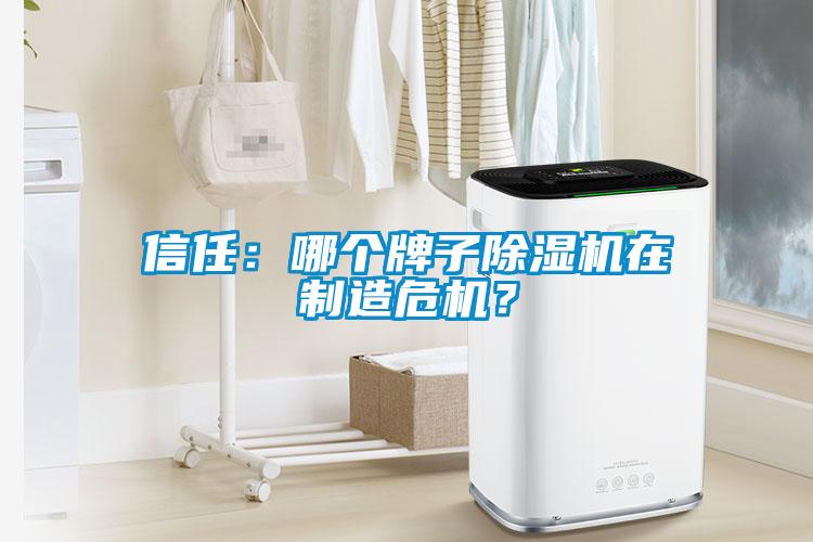 信任：哪個牌子除濕機(jī)在制造危機(jī)？