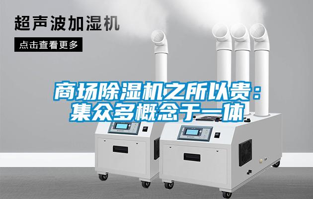 商場(chǎng)除濕機(jī)之所以貴：集眾多概念于一體