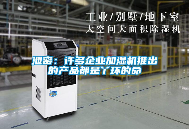 泄密：許多企業加濕機推出的產品都是丫環的命