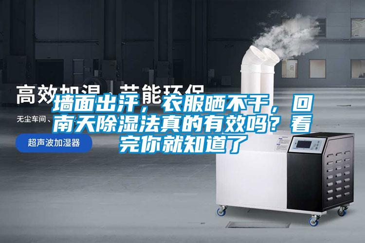 墻面出汗，衣服曬不干，回南天除濕法真的有效嗎？看完你就知道了