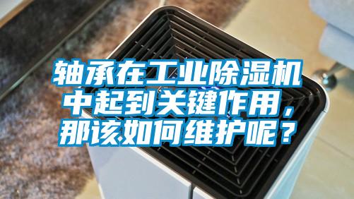 軸承在工業除濕機中起到關鍵作用，那該如何維護呢？