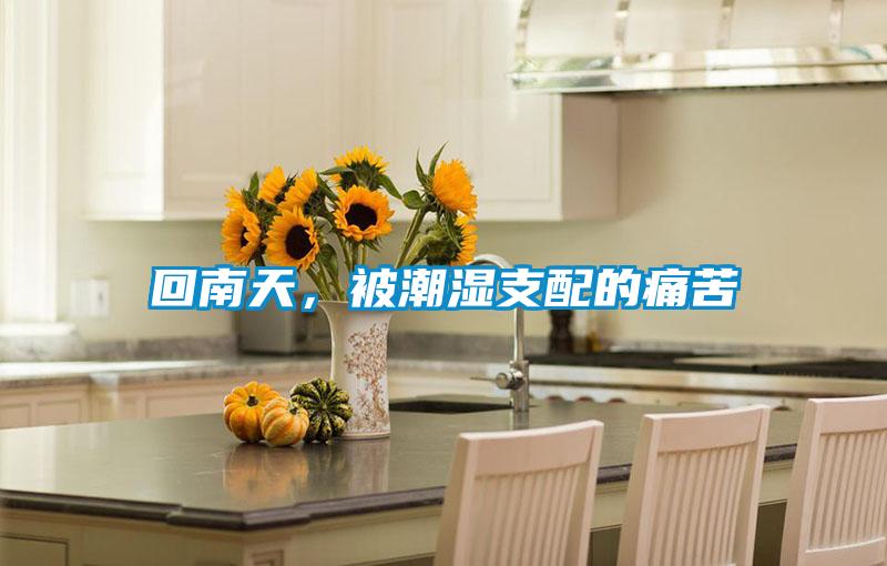 回南天，被潮濕支配的痛苦