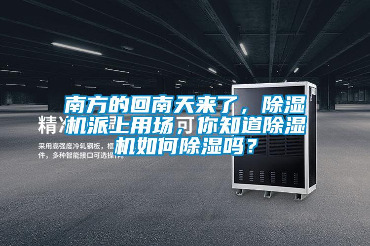 南方的回南天來了，除濕機派上用場，你知道除濕機如何除濕嗎？