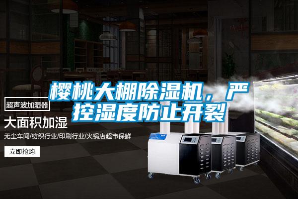 櫻桃大棚除濕機(jī)，嚴(yán)控濕度防止開(kāi)裂
