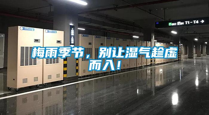 梅雨季節，別讓濕氣趁虛而入！