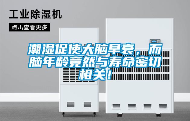 潮濕促使大腦早衰，而腦年齡竟然與壽命密切相關！