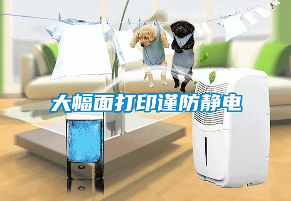 大幅面打印謹防靜電