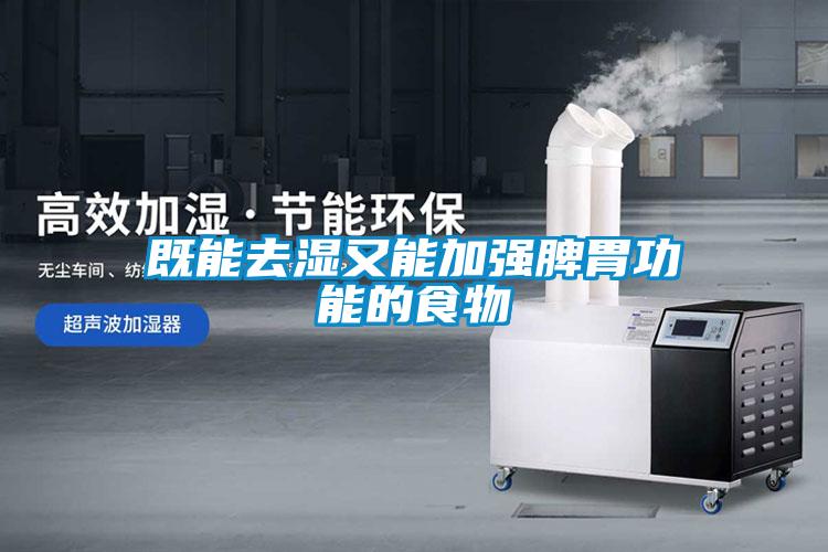既能去濕又能加強脾胃功能的食物