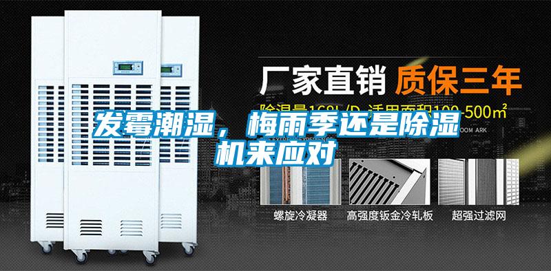 發霉潮濕，梅雨季還是除濕機來應對