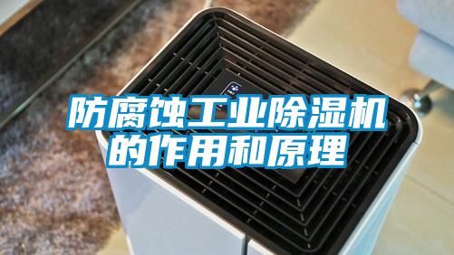 防腐蝕工業(yè)除濕機的作用和原理