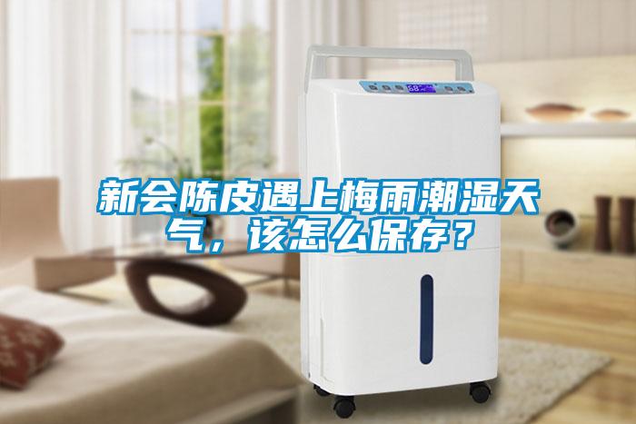 新會陳皮遇上梅雨潮濕天氣，該怎么保存？