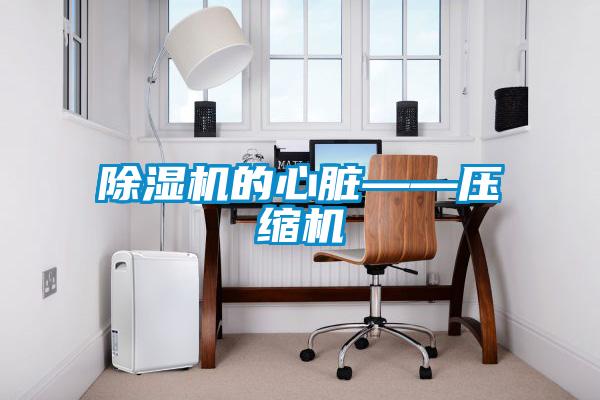 除濕機的心臟——壓縮機