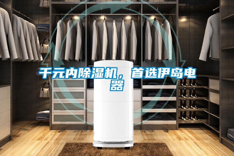 千元內除濕機，首選伊島電器