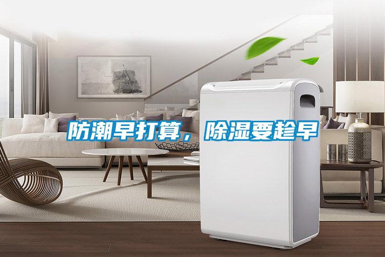 防潮早打算，除濕要趁早