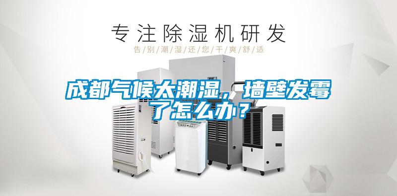 成都氣候太潮濕，墻壁發霉了怎么辦？