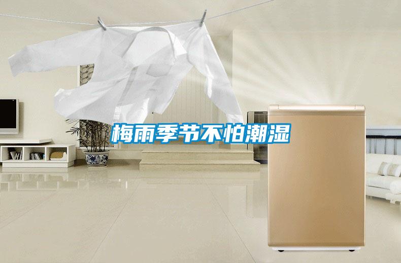 梅雨季節不怕潮濕