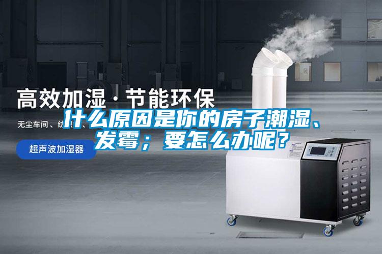 什么原因是你的房子潮濕、發霉；要怎么辦呢？