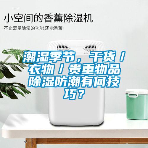 潮濕季節，干貨／衣物／貴重物品除濕防潮有何技巧？