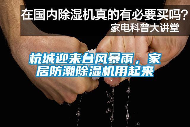 杭城迎來臺風暴雨，家居防潮除濕機用起來