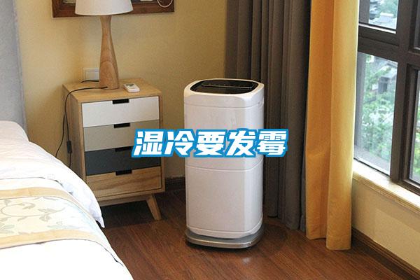 濕冷要發霉