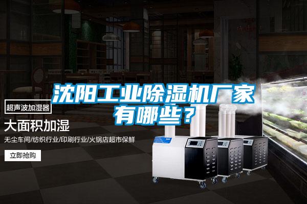沈陽工業(yè)除濕機(jī)廠家有哪些？