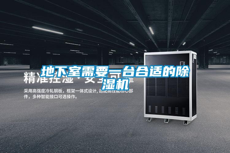 地下室需要一臺合適的除濕機