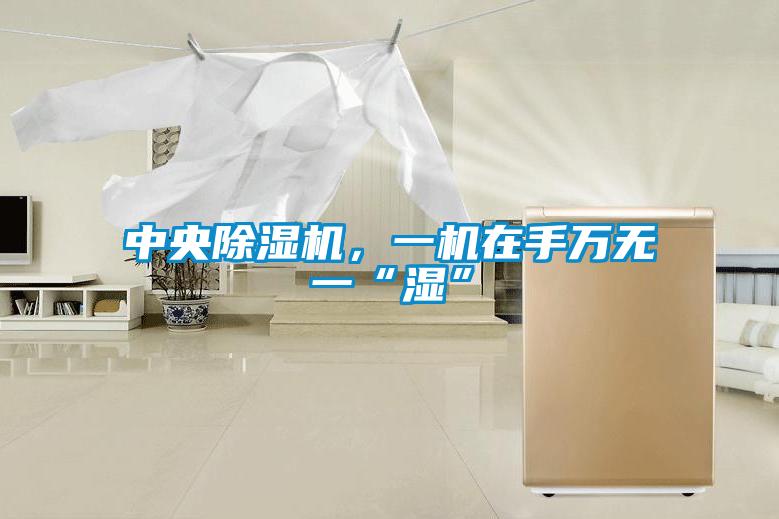 中央除濕機，一機在手萬無一“濕”
