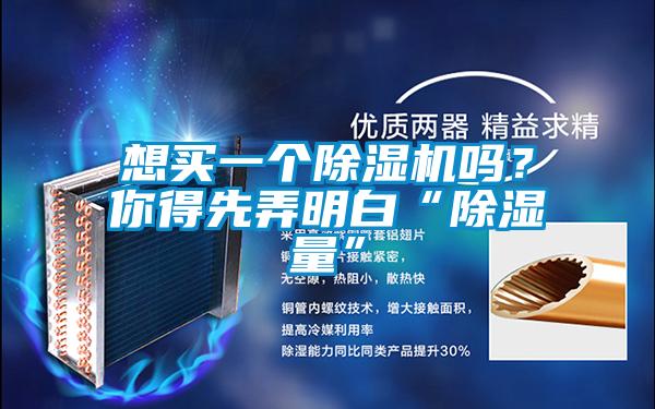 想買一個除濕機嗎？你得先弄明白“除濕量”