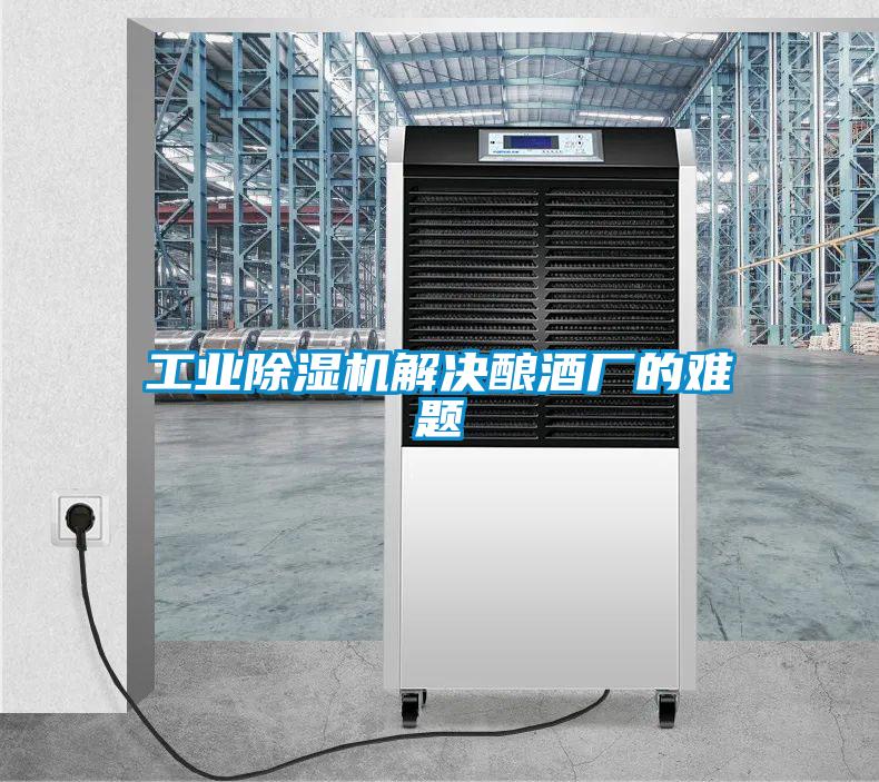 工業除濕機解決釀酒廠的難題