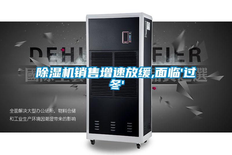 除濕機(jī)銷售增速放緩,面臨'過冬'