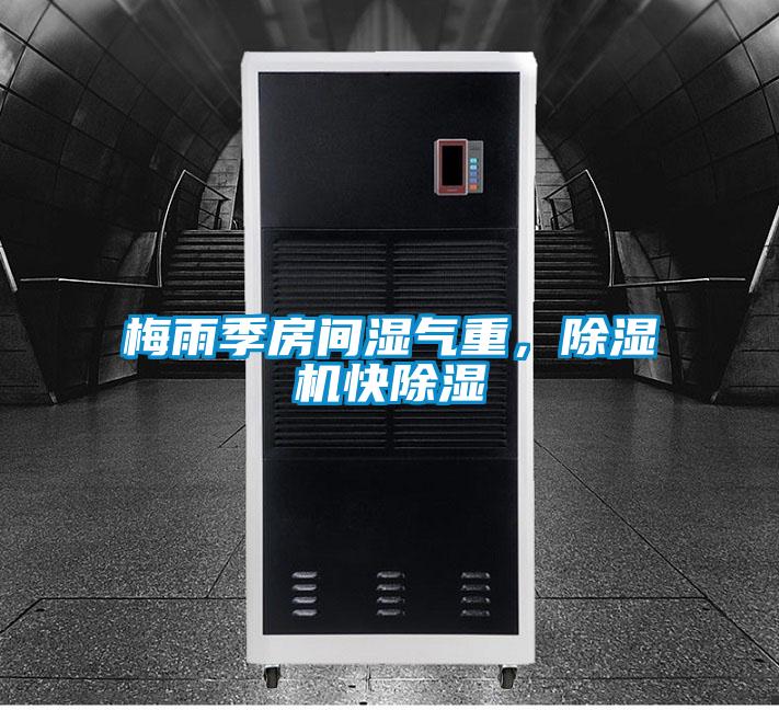 梅雨季房間濕氣重，除濕機快除濕