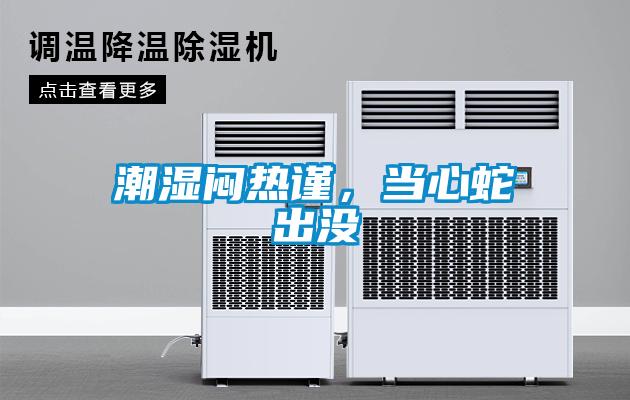 潮濕悶熱謹，當心蛇出沒