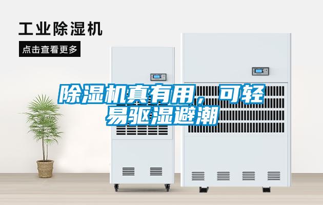 除濕機真有用，可輕易驅濕避潮