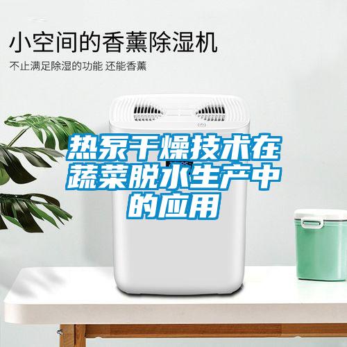 熱泵干燥技術在蔬菜脫水生產中的應用
